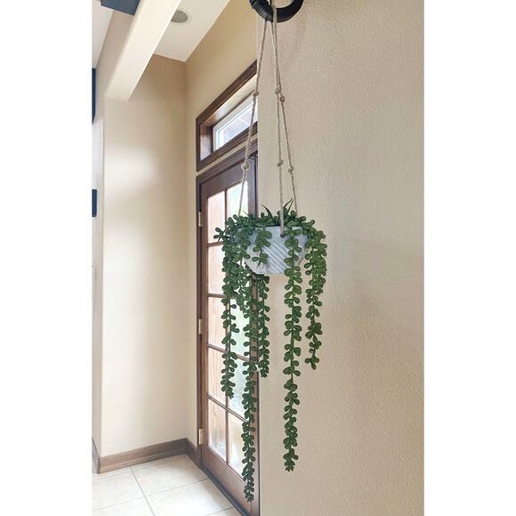 Artificial Burro's Succulent Plant in Textured Concrete Pot with Jute Twine - Picture 4 of 5